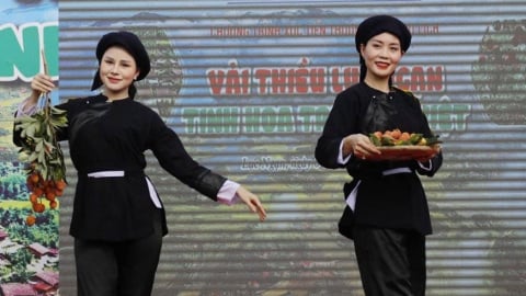 Trải nghiệm vải thiều Lục Ngạn ngay tại vườn