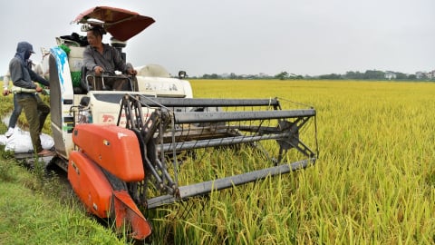 Nơi nông dân xỏ tay túi quần ra đồng