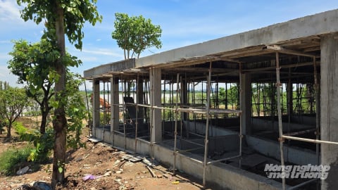 'Băm nát' hành lang thoát lũ sông Hồng ngay chân cầu Long Biên