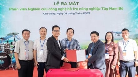 Triển khai 1.500 ha lúa công nghệ cao gắn với mô hình tín chỉ carbon