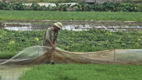 Hệ thống thủy lợi Hải Phòng 'chạy đua' với bão Wipha