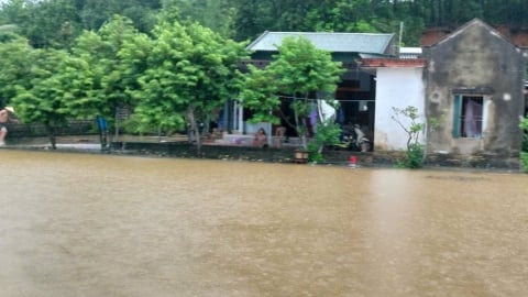 Vùng bị lũ cô lập ở Mậu Lâm: Người dân vẫn ổn nhưng lúa ngập cả rồi