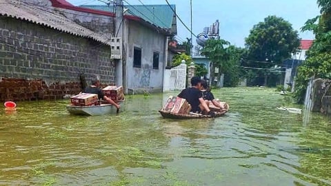 Chuyển dòng nước xóa vùng phân lũ: [Bài 2] Mùa 'cả thôn náo loạn'