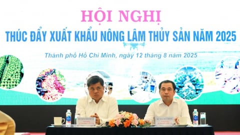 Chương trình 'Siêu vùng nguyên liệu' giúp gạo Việt vươn xa
