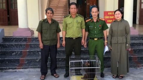 Hải Phòng giải cứu, tái thả hơn 2.200 cá thể động vật hoang dã