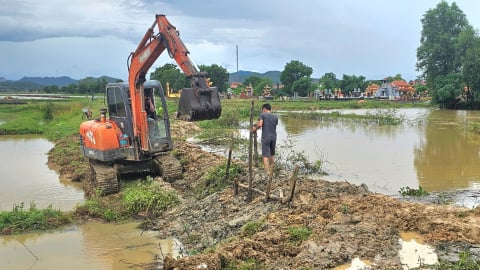 Cần cứu lúa hè thu bị ngập do mưa lớn