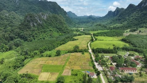 Thêm mùa vàng trên cánh đồng bản Rục