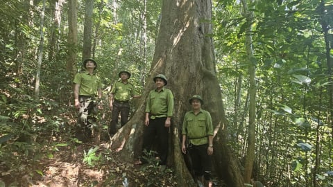 Quảng Bình chủ động phòng chống cháy rừng
