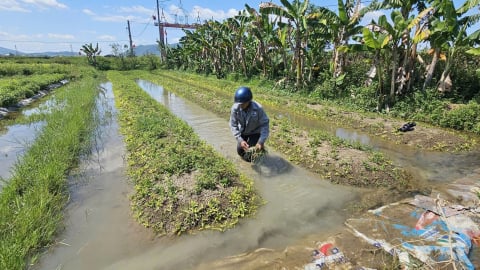 Thủy lợi Rào Nan: [Bài 2] Trăn trở kênh dẫn nước