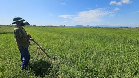 Thủy lợi Rào Nan: [Bài cuối] Khô hạn cuối cánh đồng