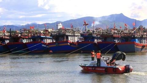 Quảng Trị sẵn sàng di dời dân