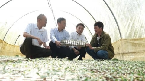 Canh tác hữu cơ ‘Lấy gì của đất, trả lại cho đất’