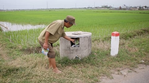 Vẫn còn tình trạng vứt vỏ thuốc bảo vệ thực vật trên đồng ruộng
