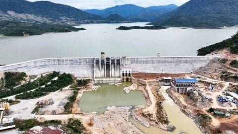 Ninh Thuận điều tiết tối đa nước tưới cho 24.617ha cây trồng vụ hè thu