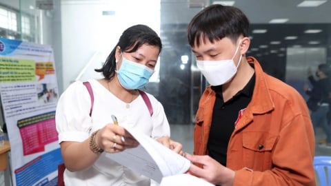4 quyền lợi người lao động tham gia bảo hiểm thất nghiệp cần biết