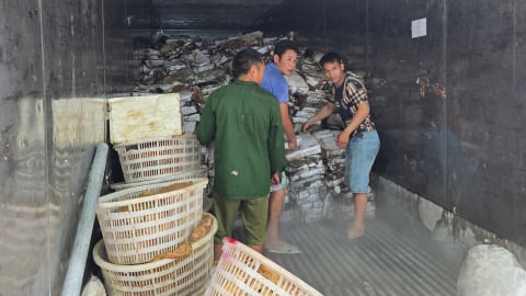 25 tấn thực phẩm đông lạnh bốc mùi không rõ nguồn gốc