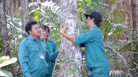 TP.HCM dự kiến chi trả khoán bảo vệ rừng ngập mặn 2,7 triệu đồng/ha/năm