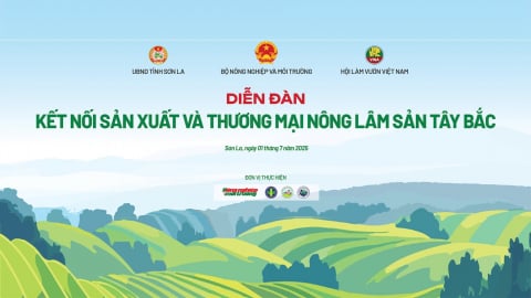 Tổng thuật: Diễn đàn 'Kết nối sản xuất và thương mại nông lâm sản Tây Bắc'