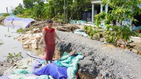 Sạt lở bờ bao sông Sài Gòn: Giải pháp tạm thời không đủ giữ đất