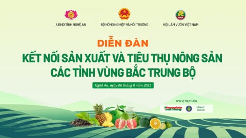 Tổng thuật: Diễn đàn Kết nối sản xuất, tiêu thụ nông sản ở Bắc Trung bộ