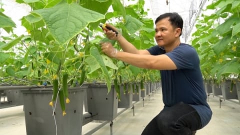 Tây Ninh thúc đẩy sản xuất nông nghiệp công nghệ cao và hữu cơ