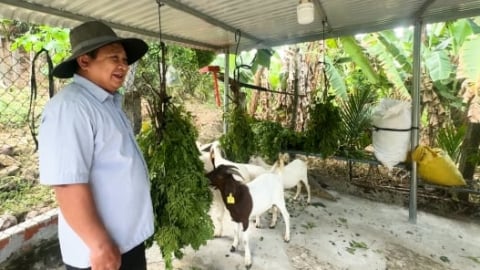 Khuyến nông Quảng Ngãi triển khai 9,2 tỷ đồng tạo sinh kế cho người dân