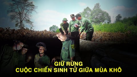 Giữ rừng - cuộc chiến sinh tử giữa mùa khô