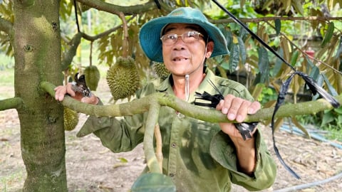 Đồng Nai hướng tới 'thủ phủ nông nghiệp công nghệ cao'