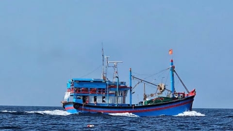 Tìm kiếm một lao động và tàu cá mất liên lạc trên biển