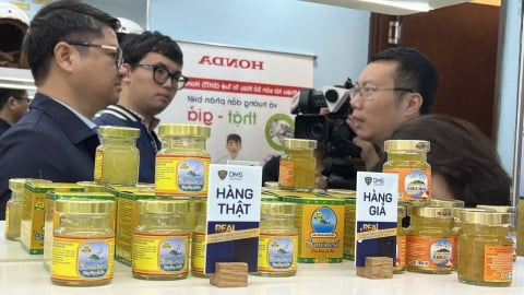 Cần xây dựng hành lang pháp lý bảo vệ thương hiệu yến sào
