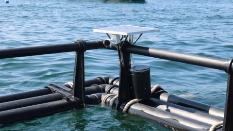 5 cá nhân đầu tiên được cấp phép nuôi biển từ 3-6 hải lý