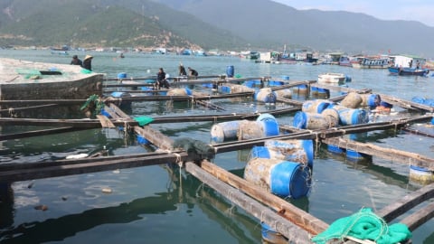 Khánh Hòa tập huấn, tuyên truyền về phòng chống thiên tai