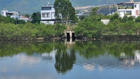 ‘Điểm mặt’ nhiều cửa xả gây ô nhiễm trên sông Quán Trường