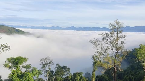 Cơ hội đầu tư du lịch sinh thái rừng Cam Lâm-Cam Ranh-Khánh Sơn
