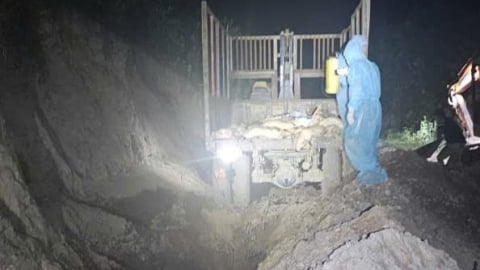 Phát hiện 97 con lợn vận chuyển trái phép, mắc dịch tả lợn Châu Phi