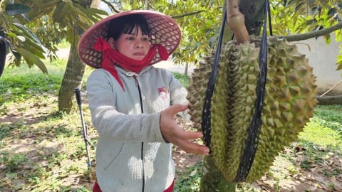 Giảm nghèo vùng dân tộc thiểu số: [Bài 1] Ghi nhận ở xã Khánh Sơn