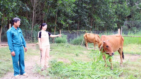Giảm nghèo vùng dân tộc thiểu số: [Bài 2] Đổi thay ở A Xay
