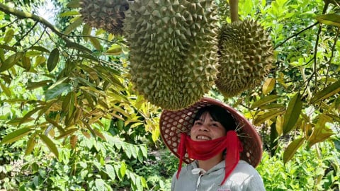 Vững tin trên hành trình thoát nghèo bền vững