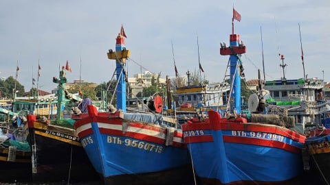 Lâm Đồng tháo gỡ khó khăn đăng kiểm tàu cá