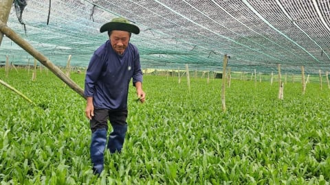 Diên Điền chuyển mình, đổi thay từ nông thôn mới