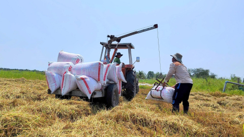 Sáng chế dàn gắp lúa giúp nông dân tiết kiệm chi phí