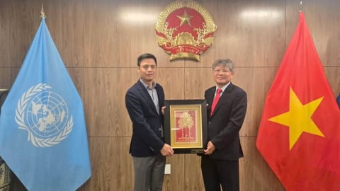 VRG định vị vai trò doanh nghiệp cao su trong chuỗi giá trị toàn cầu