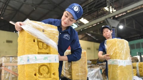 Cao su thương hiệu VRG nâng tầm giá trị cao su Việt Nam