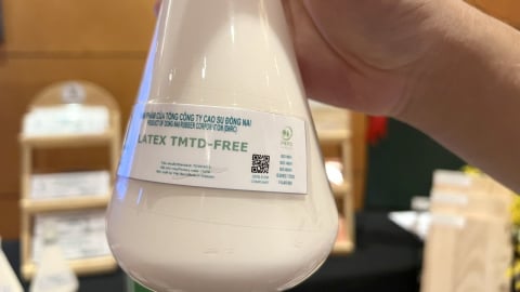 Cao su đáp ứng quy định EUDR được tiêu thụ tốt