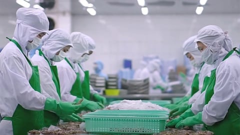 Tháo gỡ vướng mắc về nguyên liệu để thúc đẩy xuất khẩu thủy sản