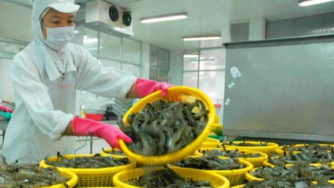 5 tháng cuối năm xuất khẩu nông lâm thủy sản phải đạt trên 25 tỷ USD