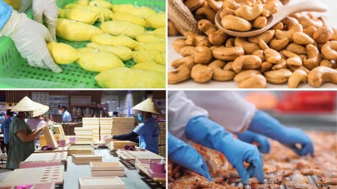 Nhanh chóng chuyển hướng thị trường xuất khẩu nông lâm thủy sản