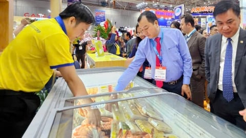 Khai mạc Vietfish 2025 -  nơi hội tụ tinh hoa của ngành thủy sản