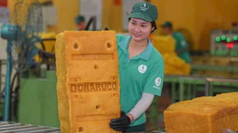 Ngành cao su 80 năm đồng hành cùng đất nước