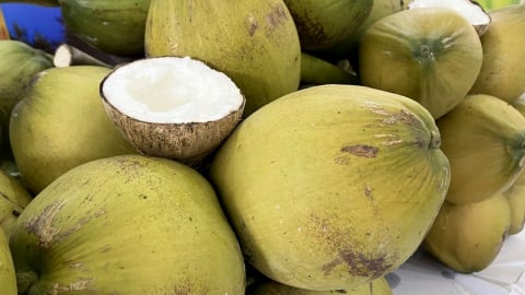 Nửa đầu năm, xuất khẩu dừa tăng trưởng trên 20%